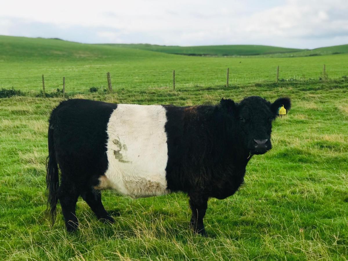 Bunnahabhain 5 - Farm Stay - Stunning Sea And Rural Views Stranraer Exterior photo